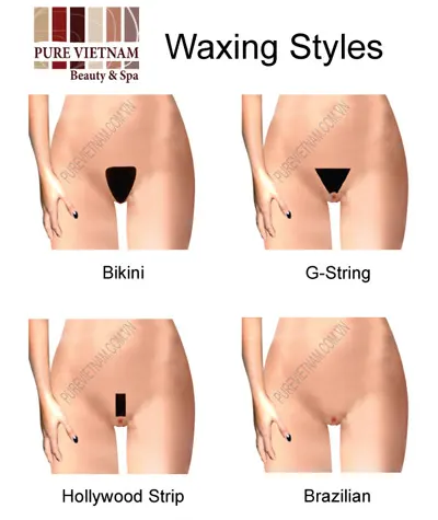 Waxing Styles female bikini wax brazilian wax difference
